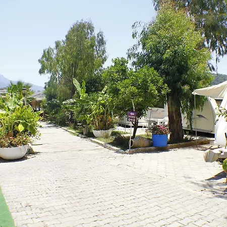 Camping Golden Club & Caravan Holidays